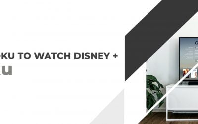 CAN I USE ROKU TO WATCH DISNEY + 2026