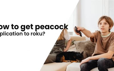 How to get peacock application to roku?